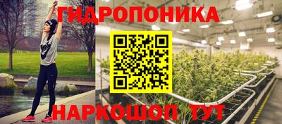 гидра Кандалакша