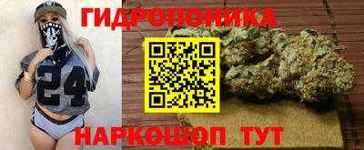 apvp Канаш
