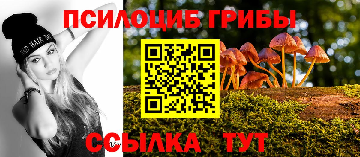 Псилоцибиновые грибы GOLDEN TEACHER  Вход с VPN  продажа наркотиков  Курчатов  Галлюциногенные грибы ЛСД 