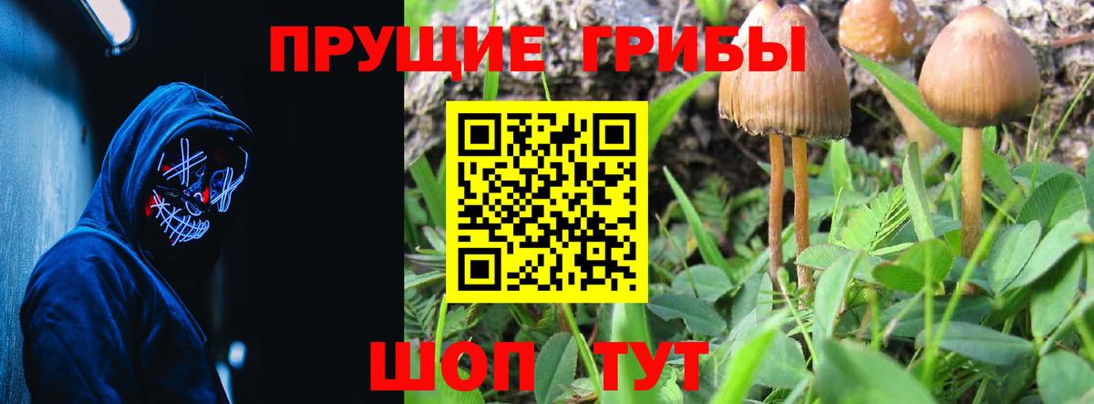 Галлюциногенные грибы MAGIC MUSHROOMS Курчатов